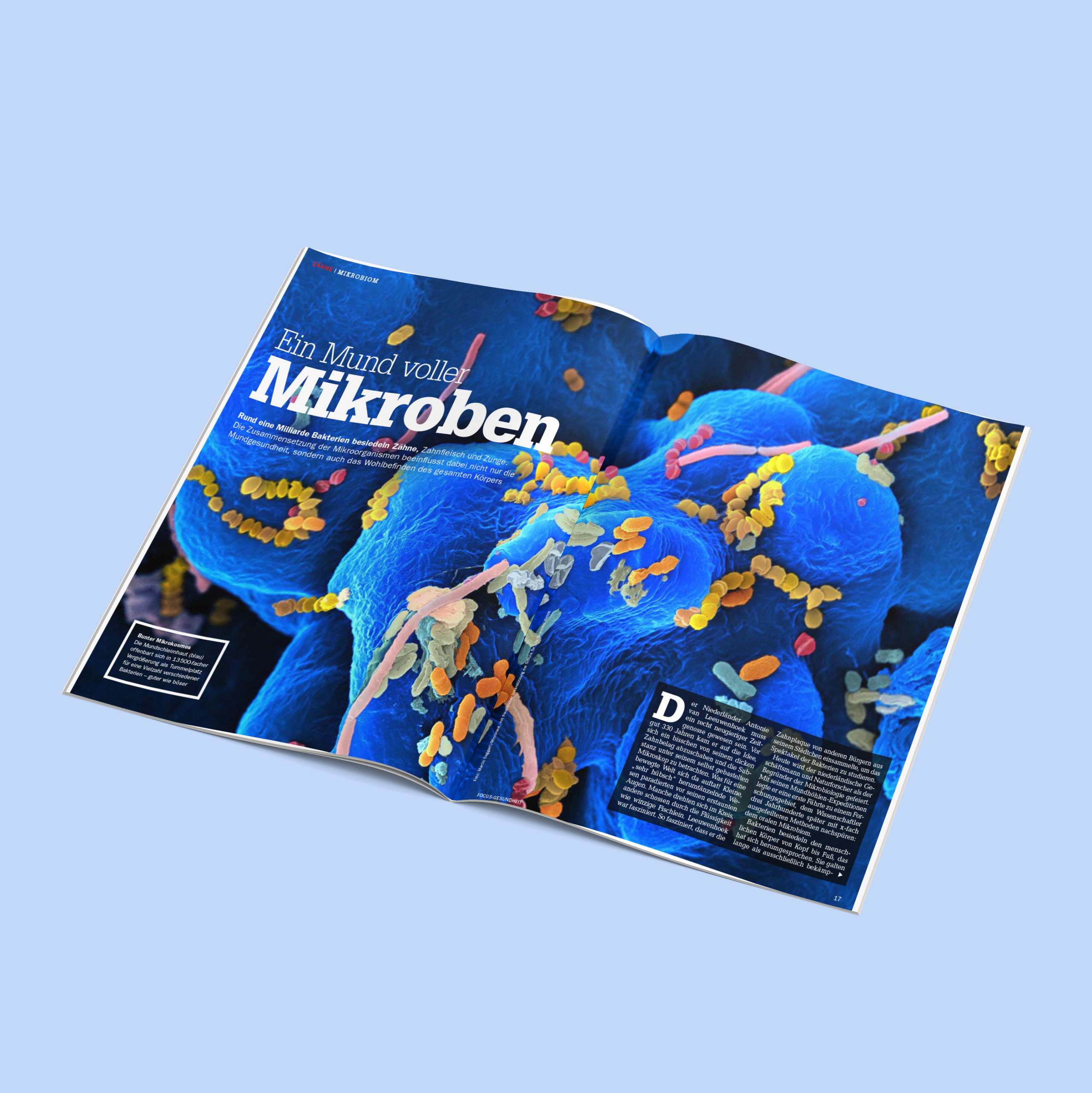 Mikroben