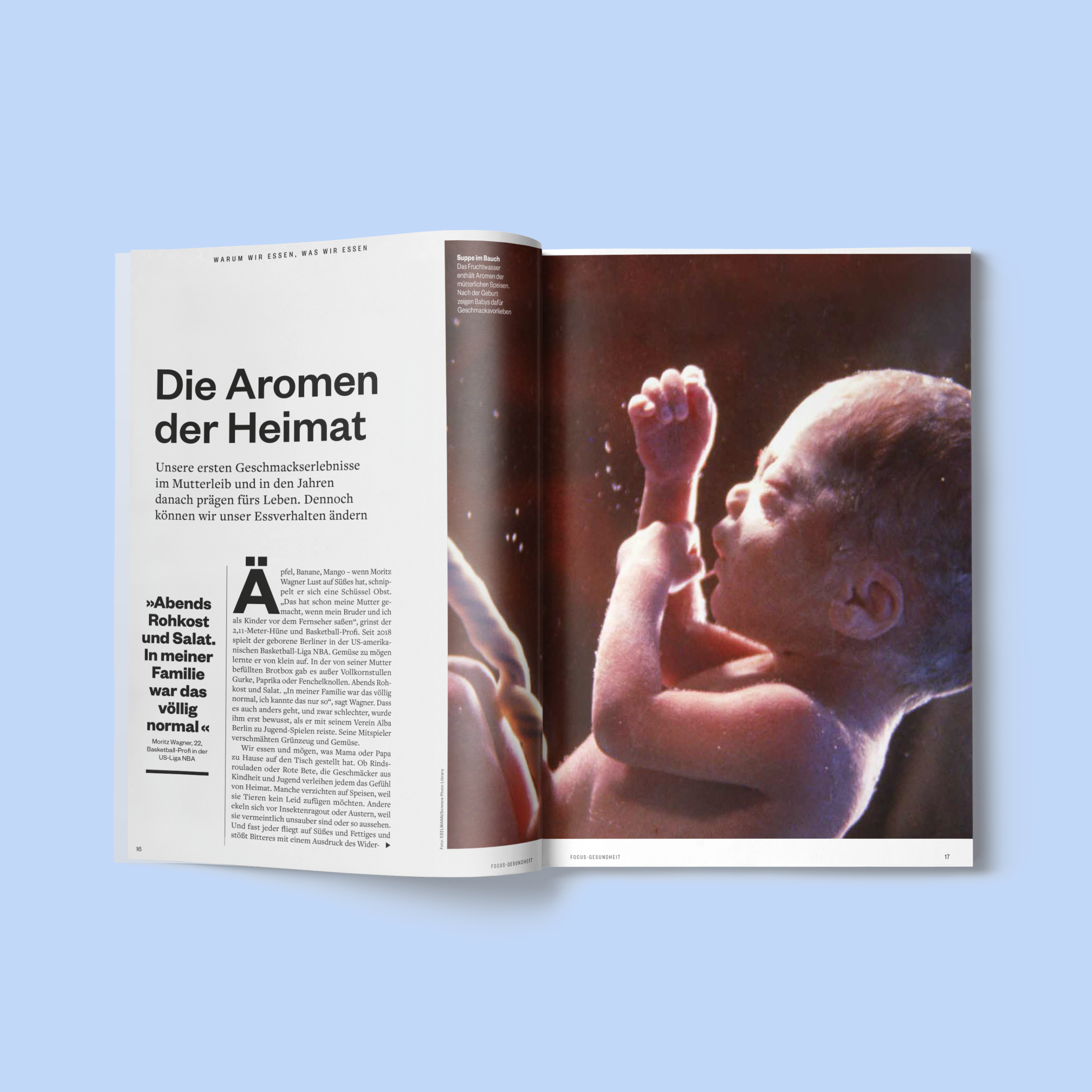 Nerdpol_FocusGesundheit_Text